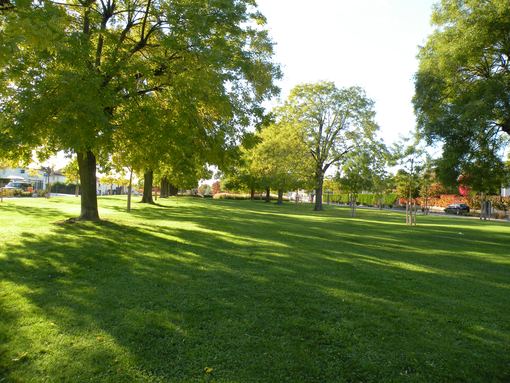  coin de verdure dans la ville